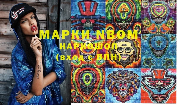 гашик Карпинск