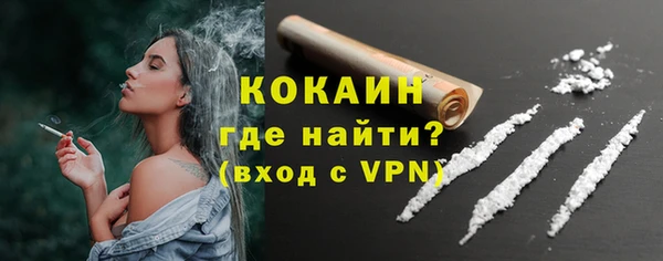 гашик Карпинск