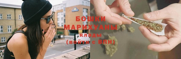 гашик Карпинск