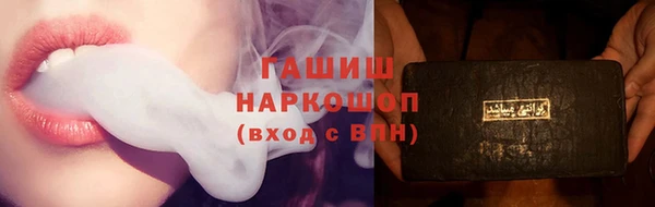 гашик Карпинск