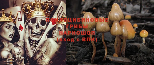 МДПВ Приозерск