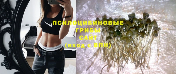 крисы Карталы