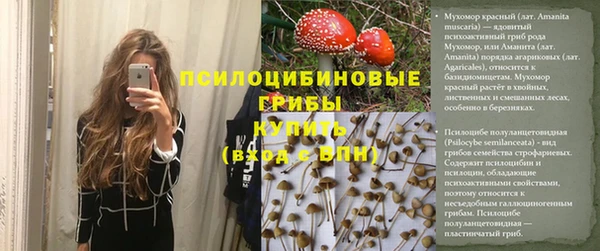 крисы Карталы
