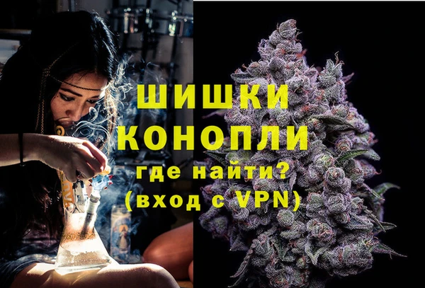 гашик Карпинск