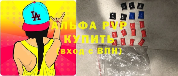 гашик Карпинск