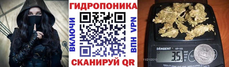 Купить  Дубовка  Шишки марихуана марихуана 